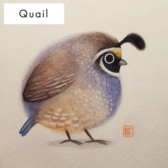 quailtastic541